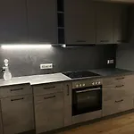 Modern Renovierte Mit Kunstambiente